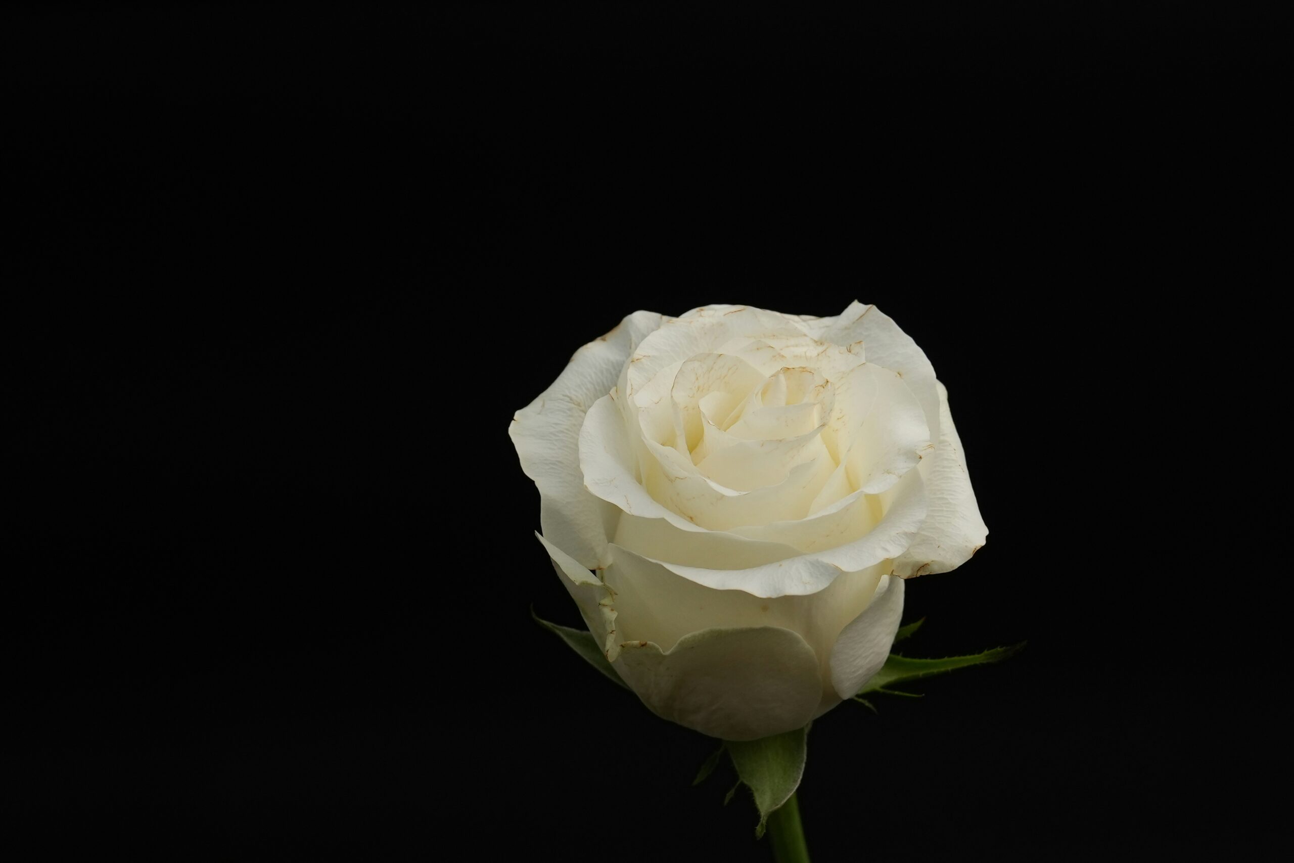 chenwei-yao-9CjejTr6ow8-unsplash